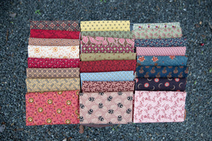 
                  
                    Memory Lane Stitch Along Monthly Project
                  
                